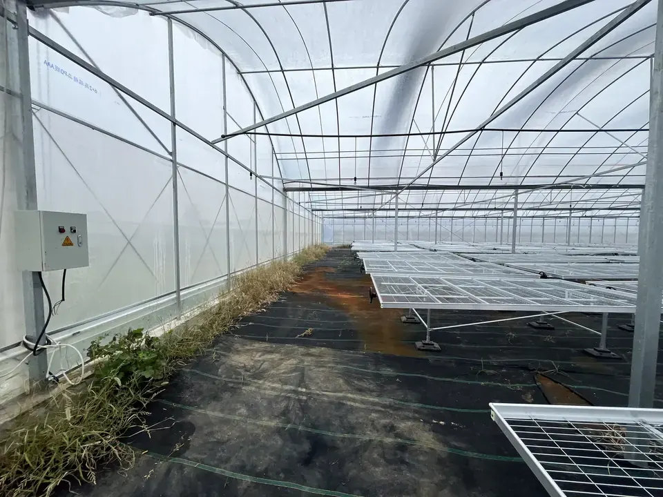 怀宁腊树智慧农业项目大棚内施工现场
